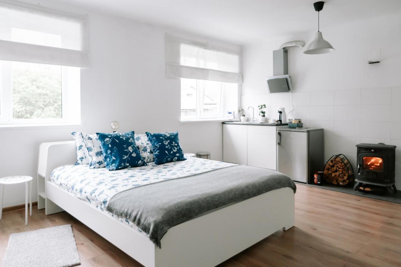 Lake Aluksne Studio Apartment المظهر الخارجي الصورة