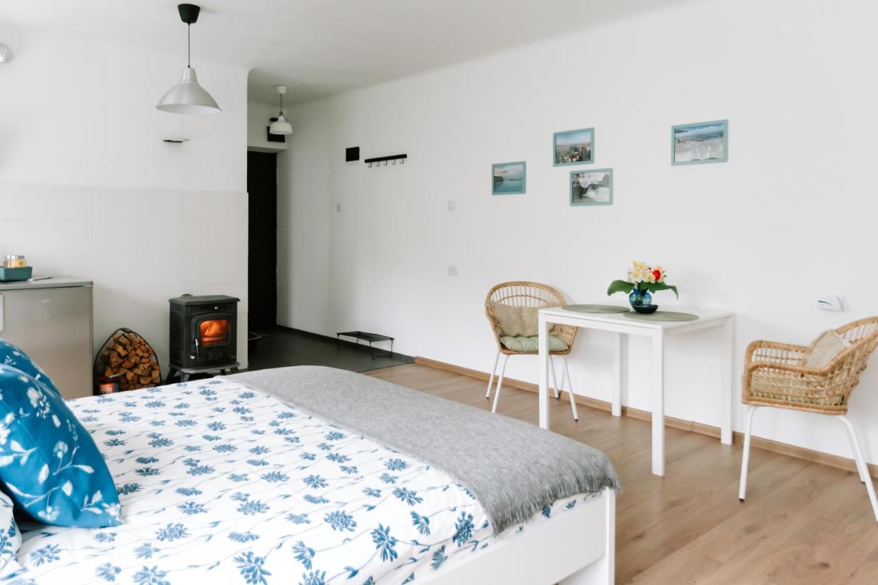 Lake Aluksne Studio Apartment المظهر الخارجي الصورة
